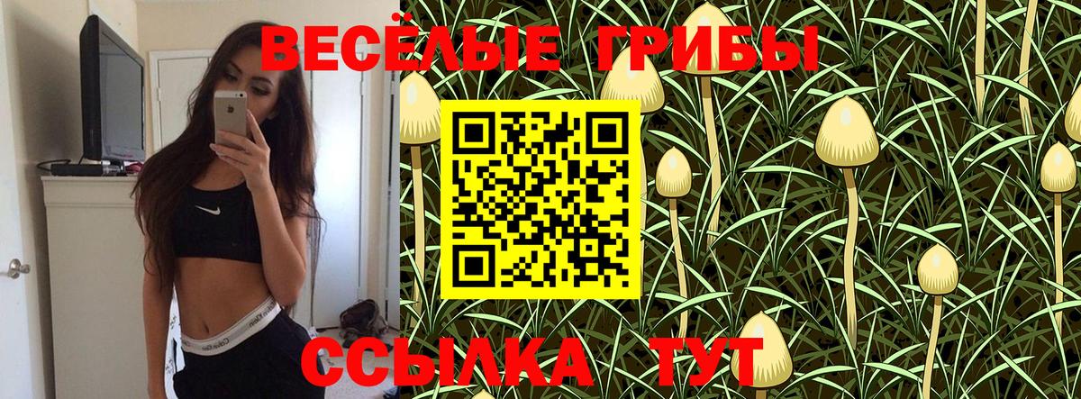 Екатеринбург  Галлюциногенные грибы мицелий  Вход с VPN 