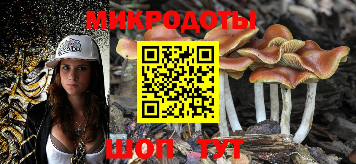 Галлюциногенные грибы Cubensis Екатеринбург